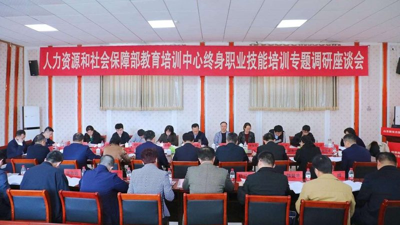 行业背景：职业培训的兴起与就业市场的需求